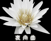 一縷哀思寄同胞