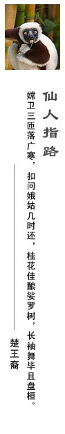 楚王裔