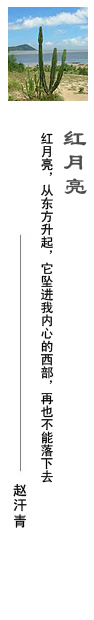趙汗青