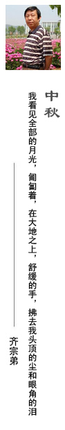 齐宗弟