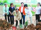 重庆市万名志愿者聚集 两小时种树1.5万棵