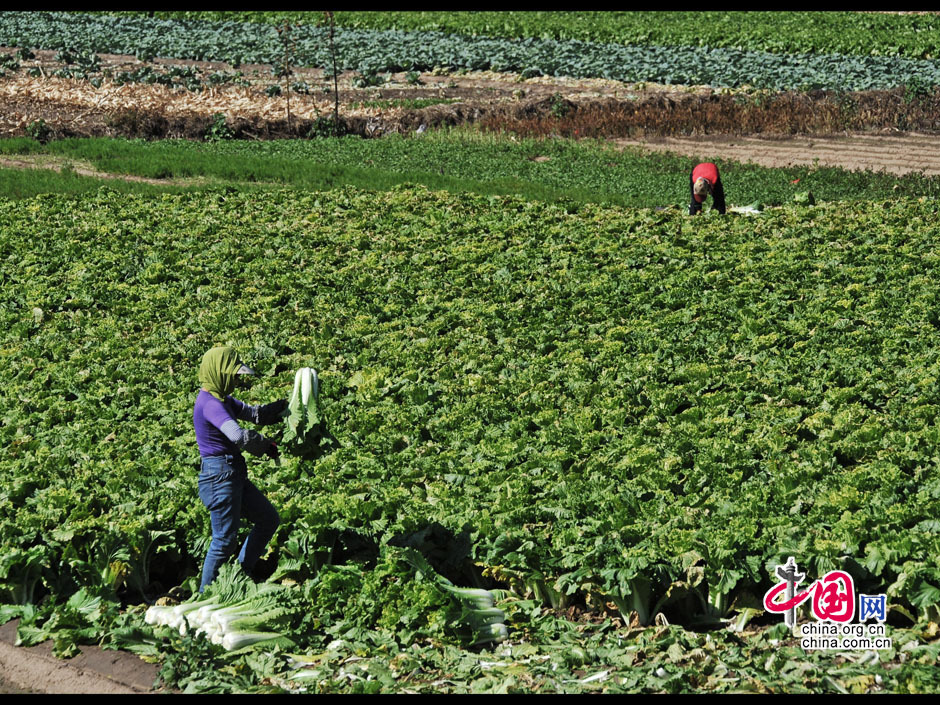 东北<em>黑土地上的父女</em>