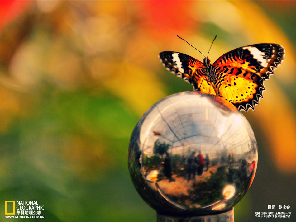 高清组图:摄影师眼中最美丽的中国