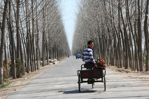 贵州高考移民第一案:武大学生办户口牟利获刑