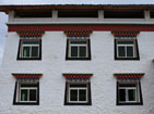 大美西藏：掩映在苍松翠柏中的扎西岗瓦村[高清]