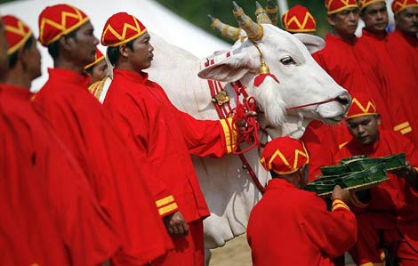 高清:泰国举行农耕节大典