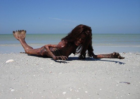 【图】美人鱼在入侵海滩?