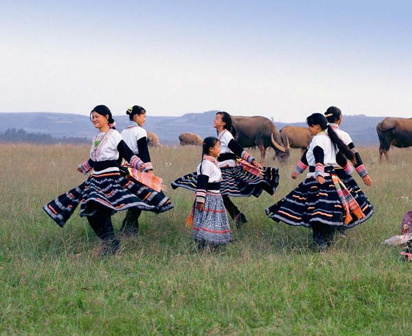 在张北草原尽情奔跑