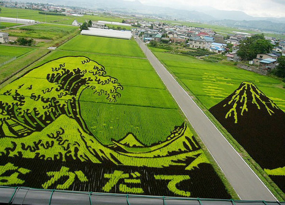 展览场馆空间设计_场馆收入的局限性