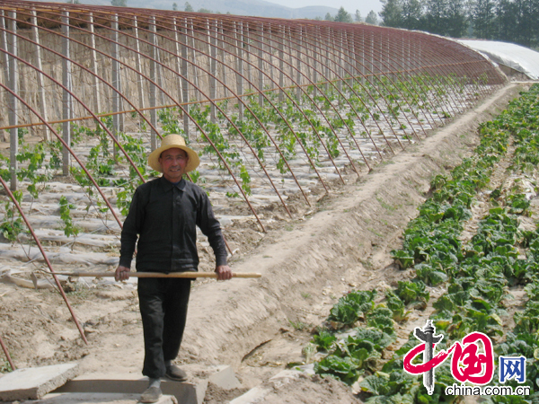 民和因地制宜發(fā)展打造農(nóng)業(yè)樣板基地