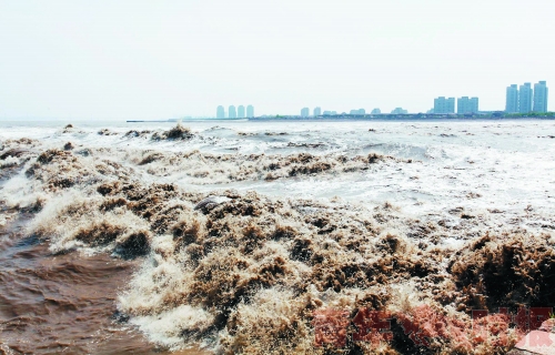 浙江海寧:回頭潮沖毀護欄20多人受傷