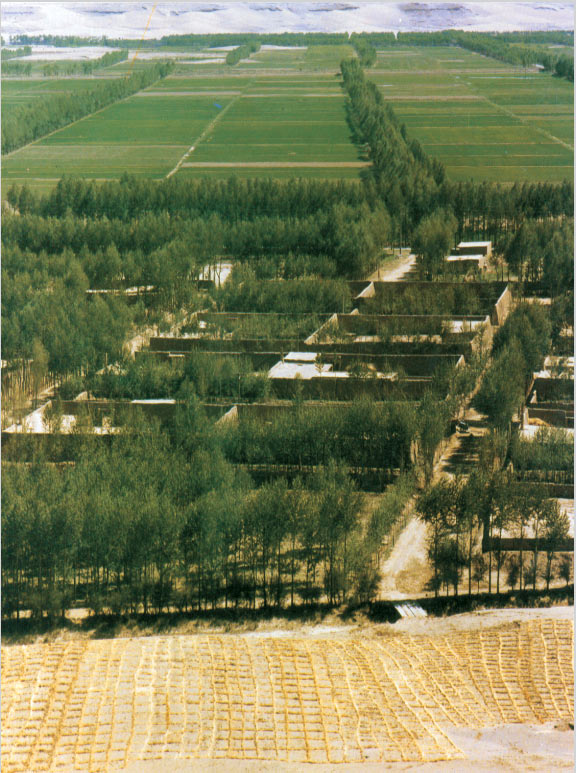 陕西三北防护林工程建设成效显著