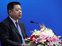 王仲偉在第二屆中譯外高層論壇開幕式上的講話