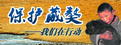 中國藏獒 藏獒保護 藏獒協會 藏獒交易 藏獒買賣 藏獒繁殖 藏獒養殖 寵物 中華神犬