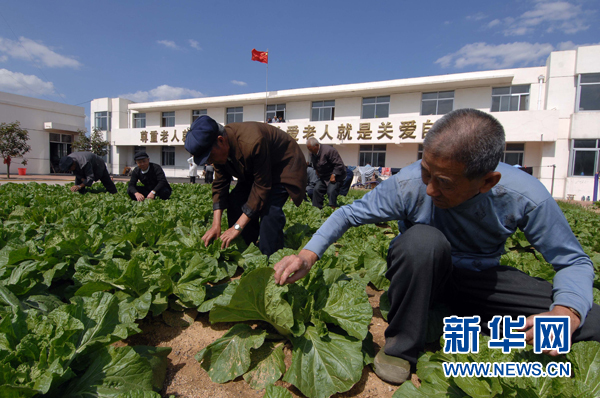 中国农村老龄人口_调查 中国60岁以上老年人口已达104657万多人(3)