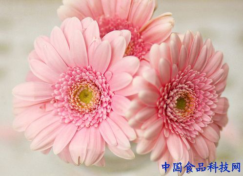 12星座男都把心掏给了哪个星座<em>女</em>?(图)- 中国日