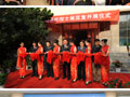 徐芝纶：一代力学宗师