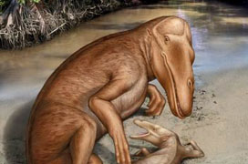 德科學家發現“會行走的鯨魚” 源自古埃及
