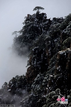 12月1日，游客在安徽黄山风景区拍摄雪景。当日凌晨，黄山风景区受强冷空气影响，迎来今年入冬后的第一场降雪。雪后黄山放晴，云海游荡，犹如蓬莱仙境，吸引了众多游客观光采风。中国网图片库施广德摄影