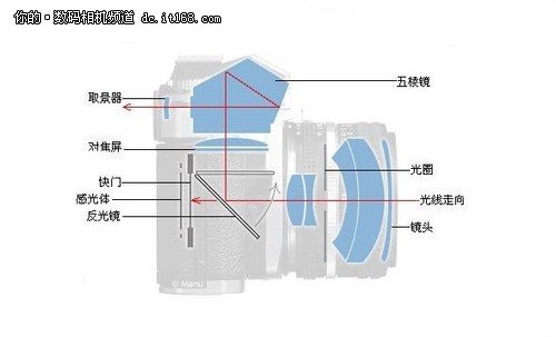 回归旁轴画质 单电/单反谁是最佳选择