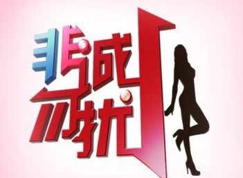 收入证明_非诚勿扰 广告收入