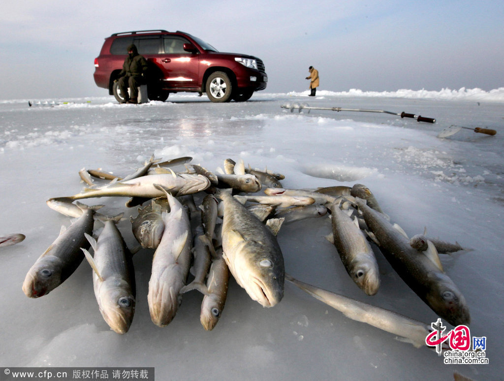 俄罗斯渔民冰上钓鱼