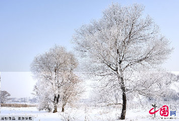 雾凇岛上，松柳凝霜挂雪，戴玉披银，如朵朵白云，排排雪浪，十分壮观。中国网图片库天高摄影