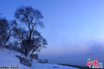 江边的老榆树和江面上升起的雾气是形成美丽雾凇的主要条件。中国网图片库天高摄影