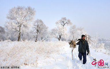 当地的居民行走在银白色的雾凇林中。中国网图片库天高摄影