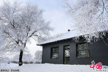 房屋、老树、雾凇在自然环境下显得如此和谐。中国网图片库天高摄影