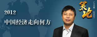 王小广：2012 中国经济走向何方