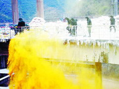 广西镉污染