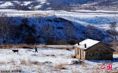 寒冷的冬季，驱车从克什克腾旗去往坝上，穿行在洁白的大自然中仿佛走进了童话般的世界里。图为在白雪皑皑的山间，孤立的房屋前牛倌正在驱赶着他的牲畜。中国网图片库 天高摄影
