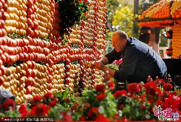 2012年2月16日，法国芒顿，工人们在比奥夫公园内为一年一度的柠檬节做准备。每年柠檬节都会吸引超过25万人来参观这里的花车巡游及水果景观。这些景观由300名工作人员参与搭建，会用上50万个产自台湾的橡皮筋及多达140吨的柑橘类水果。图：Patrick Aventurier/Getty Images/CFP