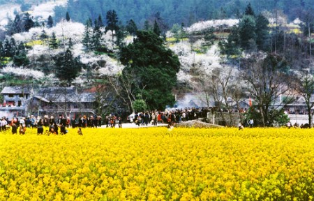 中华第一寨"金海雪山"