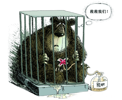 新京报为动物福利立法遏制活熊取胆