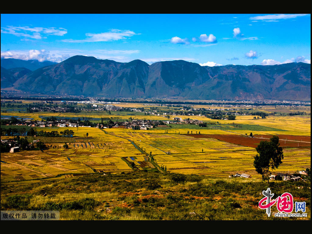 在美丽中行走——云南驾车游拾萃