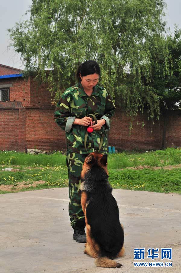 探访神秘的警犬训练基地