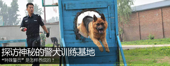 探访神秘的警犬训练基地