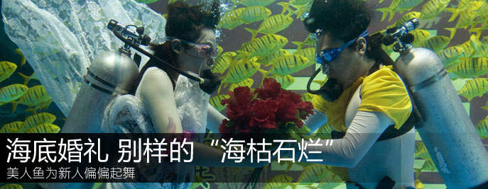 高清组图：海底婚礼 见证别样的“海枯石烂”