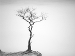 簡約主義攝影作品賞