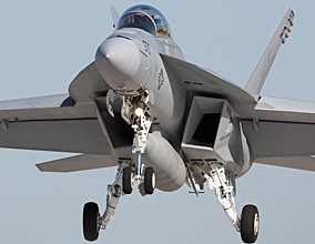 F-18大黄蜂战斗机（F-18 Hornet）
