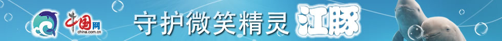 標題圖片