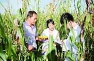 標題圖片