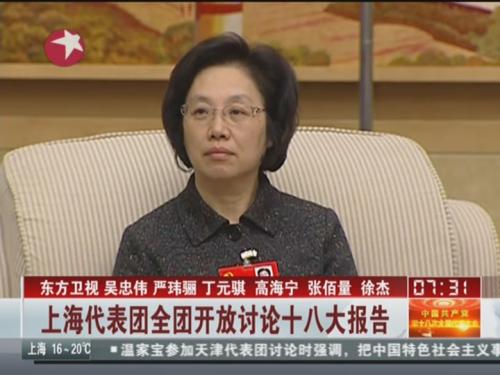 上海代表團全團開放討論十八大報告 