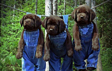 囧死人的另类搞笑瞬间[组图]