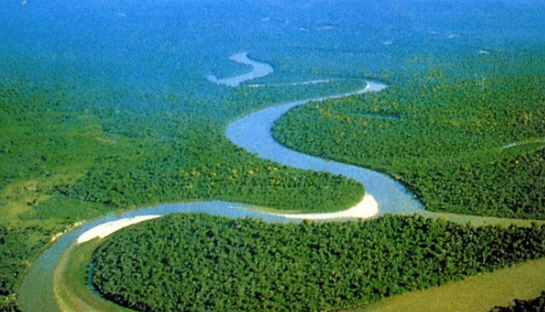 巴西亚马孙雨林植被遭砍伐面积降至历年最低