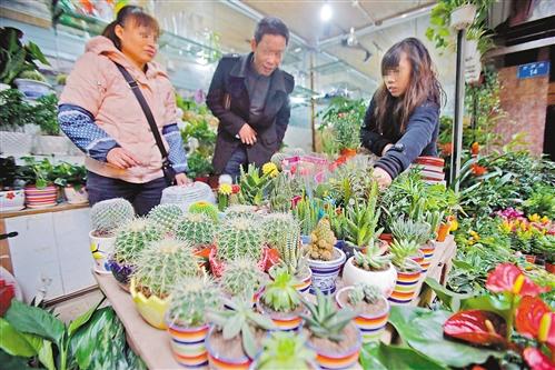 植物夜间会释放出二氧化碳 家种植物要适当