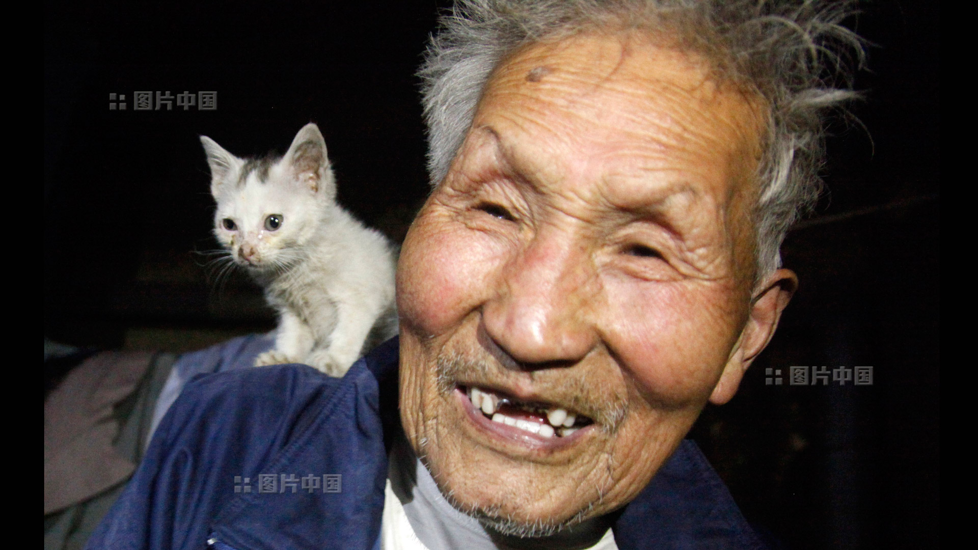 魏可青老人与流浪猫。中国网图片库 张磊 摄影