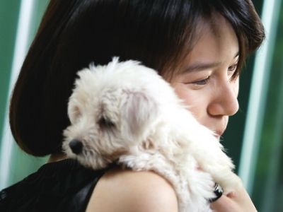 《我的狗狗我的爱》首部宠物片温暖跨年